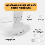  Đèn Học Để Bàn Chống Cận Gấp Gọn Cảm Ứng Tích Điện Thông Minh Pin 247 