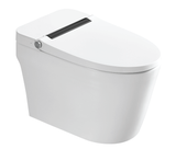  BỒN CẦU THÔNG MINH RT-501 