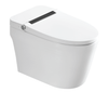 BỒN CẦU THÔNG MINH RT-501