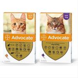  1 Tuýt Advocate - nhỏ gáy diệt ve rận,bọ chét, giun sán cho Mèo 