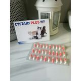  Vetplus Cystaid Plus(30 viên) cho Mèo bị viêm tiết niệu,tan sỏi bùn 