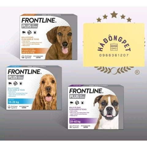  FRONTLINE Plus ( 1 tuýp ) Nhỏ gáy trị ve rận, bọ chét Chó 