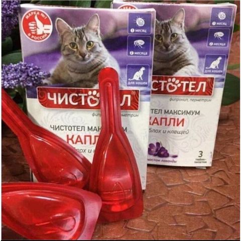  Nhỏ gáy Nga Celandin - diệt ve rận, bọ chét cho mèo siêu hiệu quả 