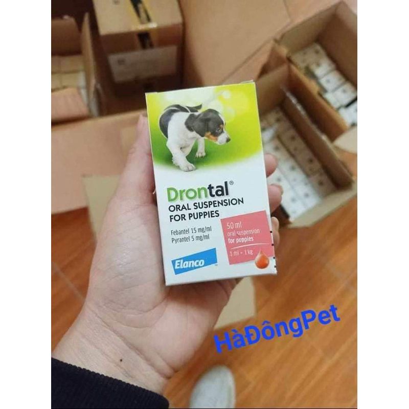  Drontal Puppy - Tẩy giun cho Chó 50ml 