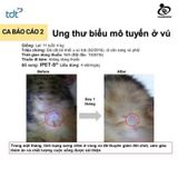  IPET S hộp 60 viên - Thực phẩm hỗ trợ Tăng Cường Miễn Dịch Cho Chó Mèo chiết xuất Taheebo 