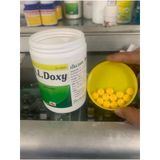  Viên Doxy (5 viên) - hỗ trợ Chó Mèo bị Hô hấp, Ký Sinh trùng máu 