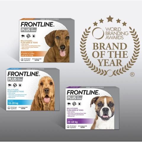  FRONTLINE Plus ( 1 tuýp ) Nhỏ gáy trị ve rận, bọ chét Chó 