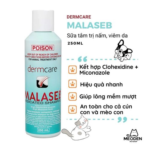  Sữa tắm trị nấm, viêm da DermCare Malaseb 100ml cho chó mèo 