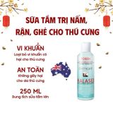  Sữa tắm trị nấm, viêm da DermCare Malaseb 100ml cho chó mèo 