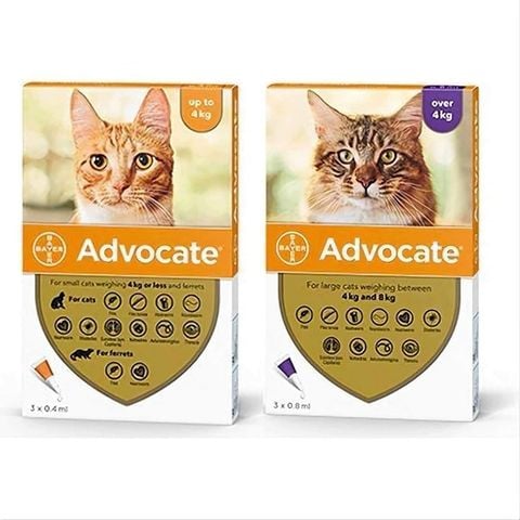  Nhỏ gáy Advocate (1 tuýt)- Diệt Ve Rận, Giun Sán Trên Mèo 