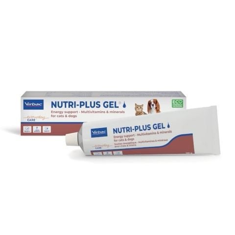  Nutri Plus Gel dinh dưỡng cho Chó Mèo 