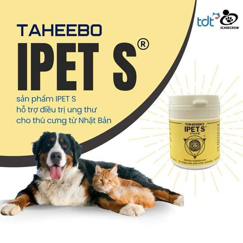  IPET S hộp 60 viên - Thực phẩm hỗ trợ Tăng Cường Miễn Dịch Cho Chó Mèo chiết xuất Taheebo 