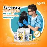  Simparica - Bảo vệ ngoại ký sinh trùng cho chó(1 viên) 