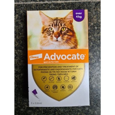  1 Tuýt Advocate - nhỏ gáy diệt ve rận,bọ chét, giun sán cho Mèo 