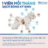  NexGard SPECTRA (1 viên) -viên nhai vị thịt bò phòng & trị ve, rận, bọ chét, ghẻ, Giun sán, Giun Tim 