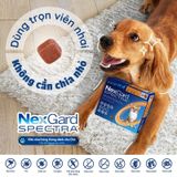  NexGard SPECTRA ( Hộp 3 viên)- Viên nhai phòng & trị nội, ngoại ký sinh (ve, rận, bọ chét, ghẻ Demodex, giun sán)cho Chó 