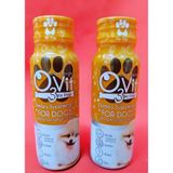  Siro O3Vit ăn ngon, bổ sung dinh dưỡng, mượt lông, trị biếng ăn cho chó mèo 