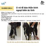  IPET S hộp 60 viên - Thực phẩm hỗ trợ Tăng Cường Miễn Dịch Cho Chó Mèo chiết xuất Taheebo 