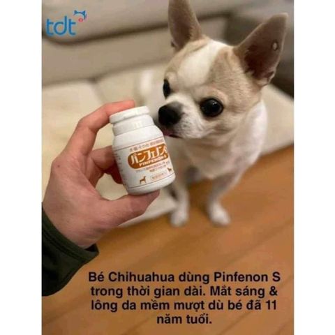  Pinfenon S (lọ 60viên)- hỗ trợ suy thận, tiểu đường, chống não hóa trên chó mèo 