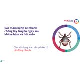  Bravecto - Viên nhai vị thịt bò cho Chó diệt ve, rận, bọ chét, ghẻ, xà mâu 