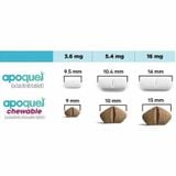  Viên Apoquel (1 viên)- Giảm ngứa do viêm da dị ứng trên chó mèo 