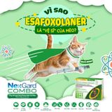  NexGard Combo (1 ống) Nhỏ gáy phòng và trị nội ngoại ký sinh trùng trên Mèo 