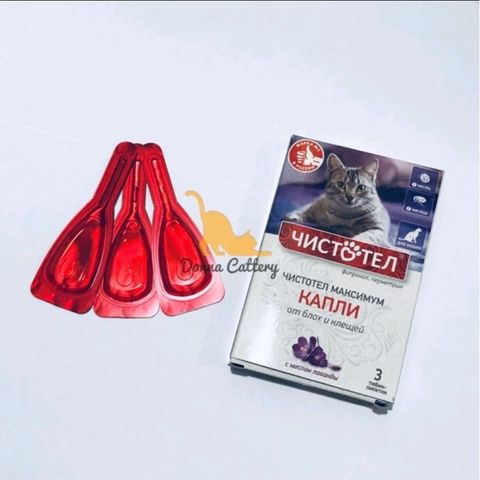  Nhỏ gáy Nga Celandin - diệt ve rận cho mèo siêu hiệu quả 