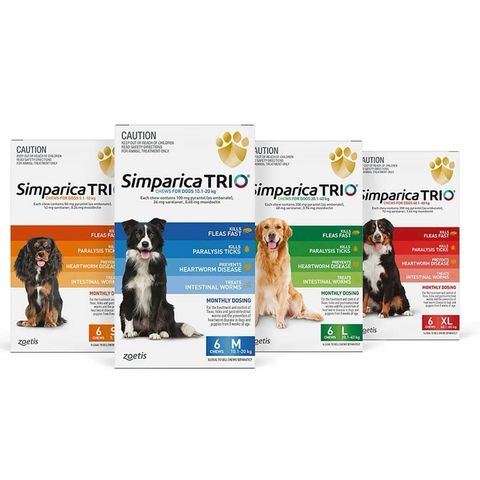  Simparica Trio (1 viên)- diệt Ve Rận, Bọ Chét, Giun Sán Trên Chó 