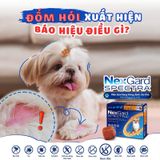  NexGard SPECTRA ( Hộp 3 viên)- Viên nhai phòng & trị nội, ngoại ký sinh (ve, rận, bọ chét, ghẻ Demodex, giun sán)cho Chó 