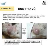  IPET S hộp 60 viên - Thực phẩm hỗ trợ Tăng Cường Miễn Dịch Cho Chó Mèo chiết xuất Taheebo 