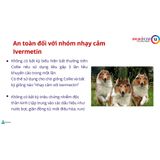  Bravecto - Viên nhai vị thịt bò cho Chó diệt ve, rận, bọ chét, ghẻ, xà mâu 