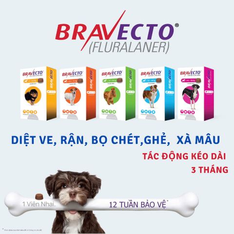  Bravecto - Viên nhai vị thịt bò cho Chó diệt ve, rận, bọ chét, ghẻ, xà mâu 