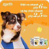  Simparica - Bảo vệ ngoại ký sinh trùng cho chó(1 viên) 