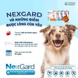 NexGard (Hộp 6 viên) - Viên nhai phòng & trị ve, rận, bọ chét, ghẻ demodex, sarcoptes dành cho Chó 