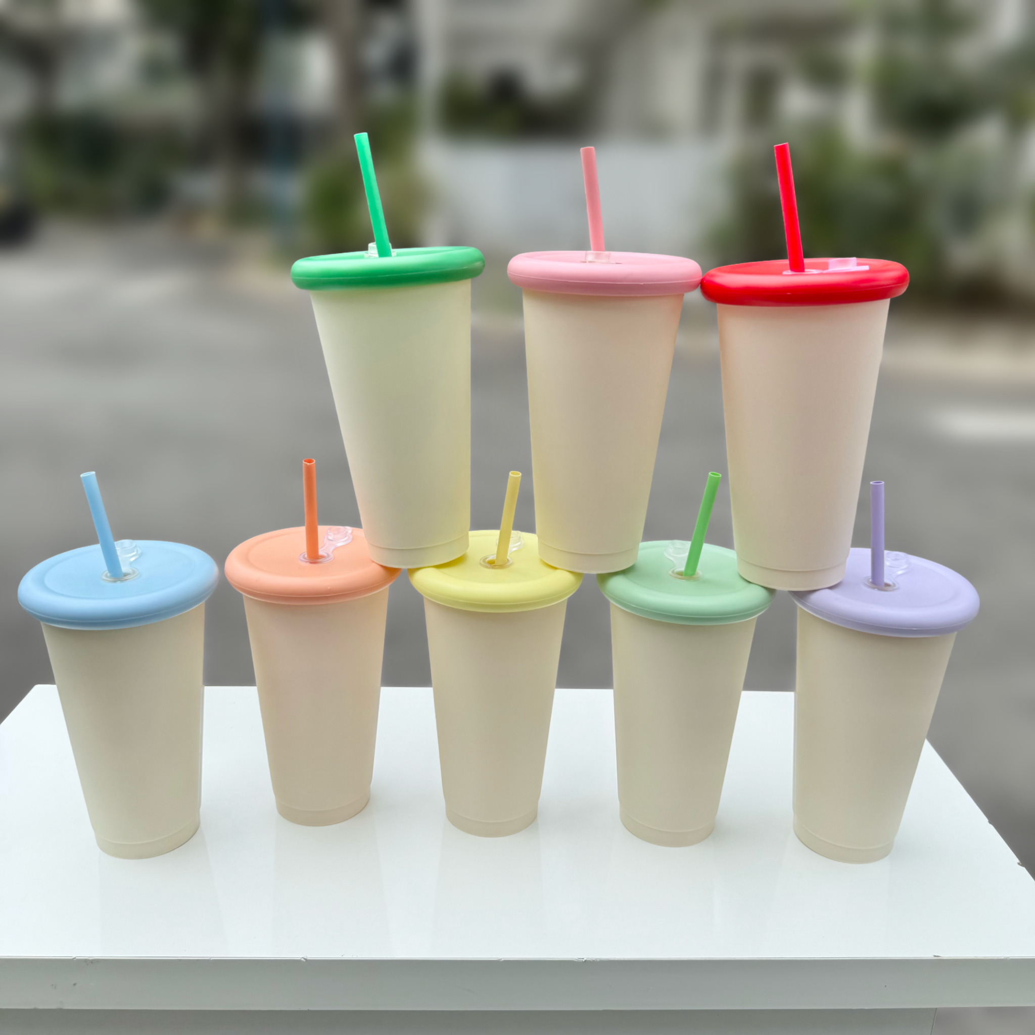  Ly Trơn phối màu 04 