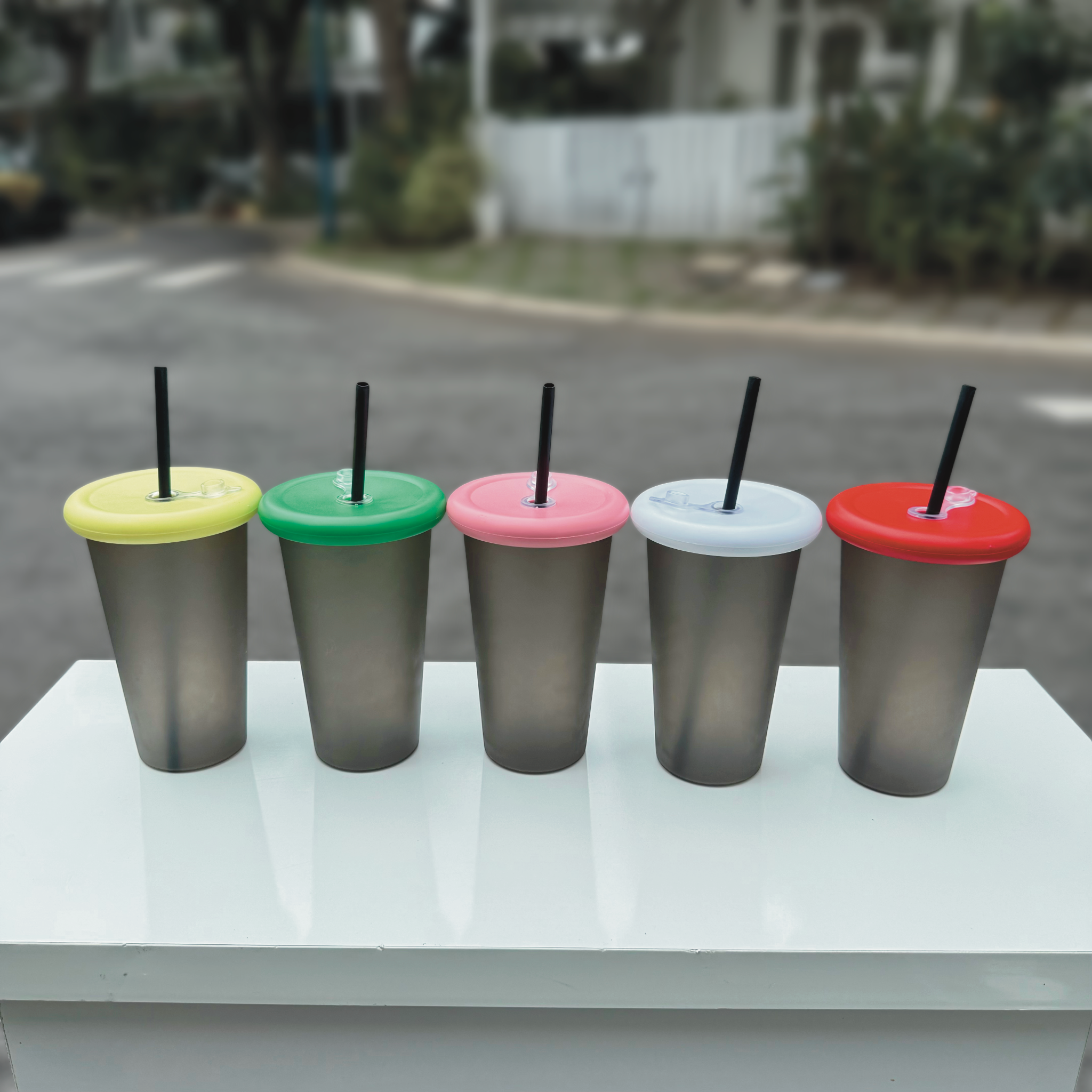  Ly Trơn phối màu 01 