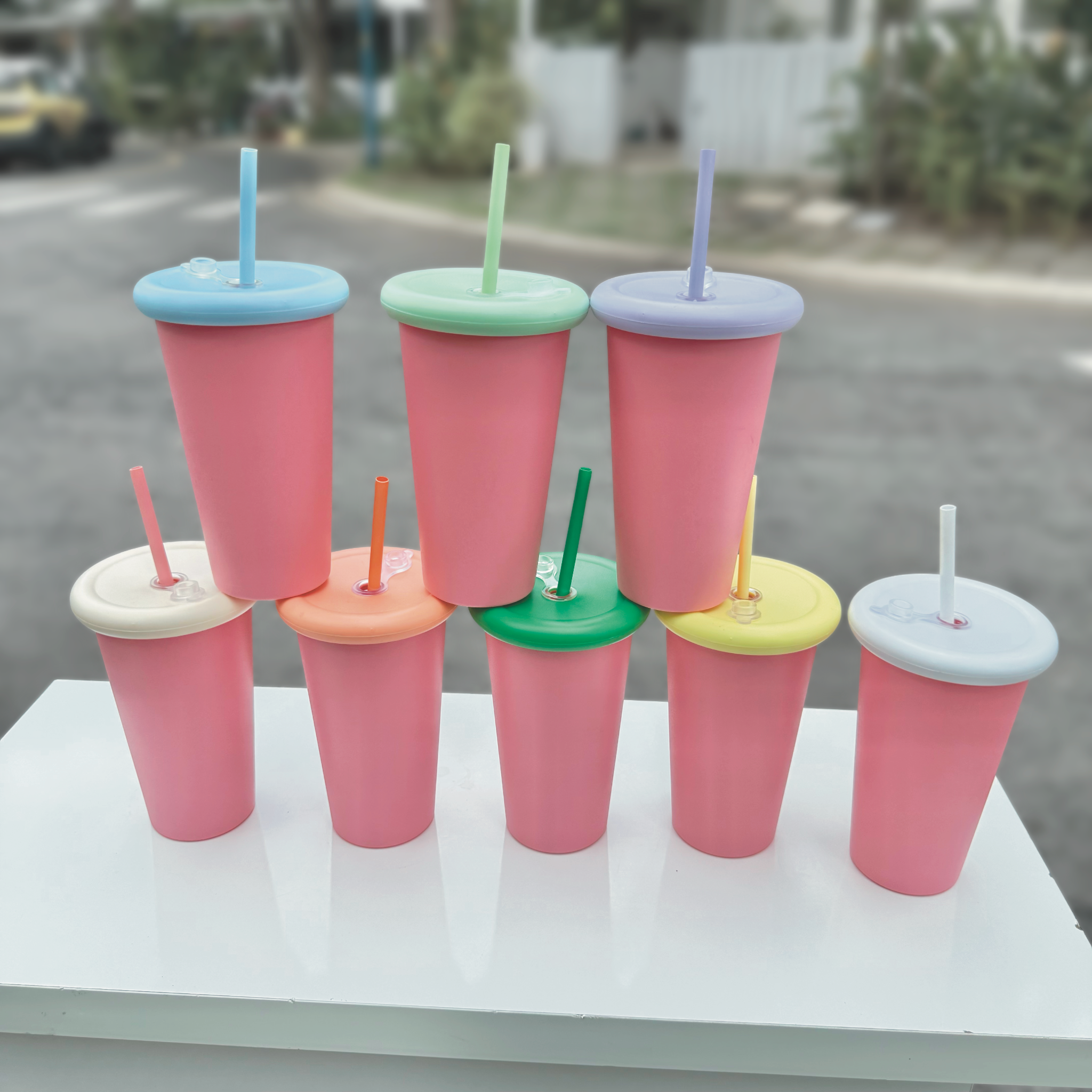  Ly Trơn phối màu 08 