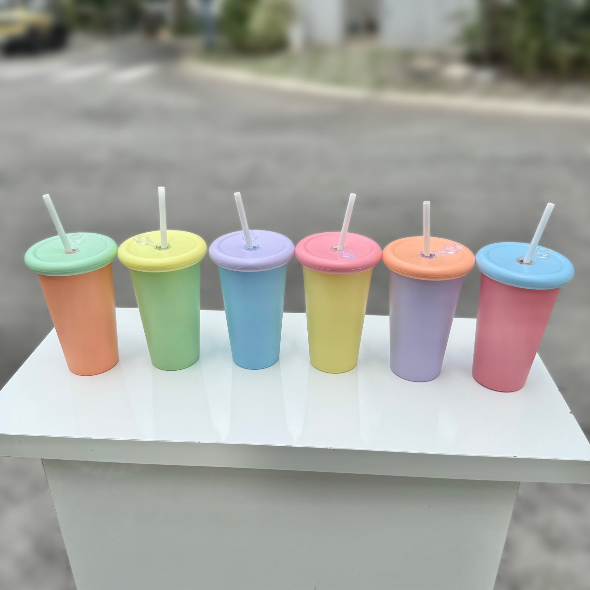  Ly Trơn phối màu 12 