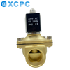  VAN ĐIỆN TỪ XCPC 2W250-25 AC220-D/DC24-D (Coil đúc) 