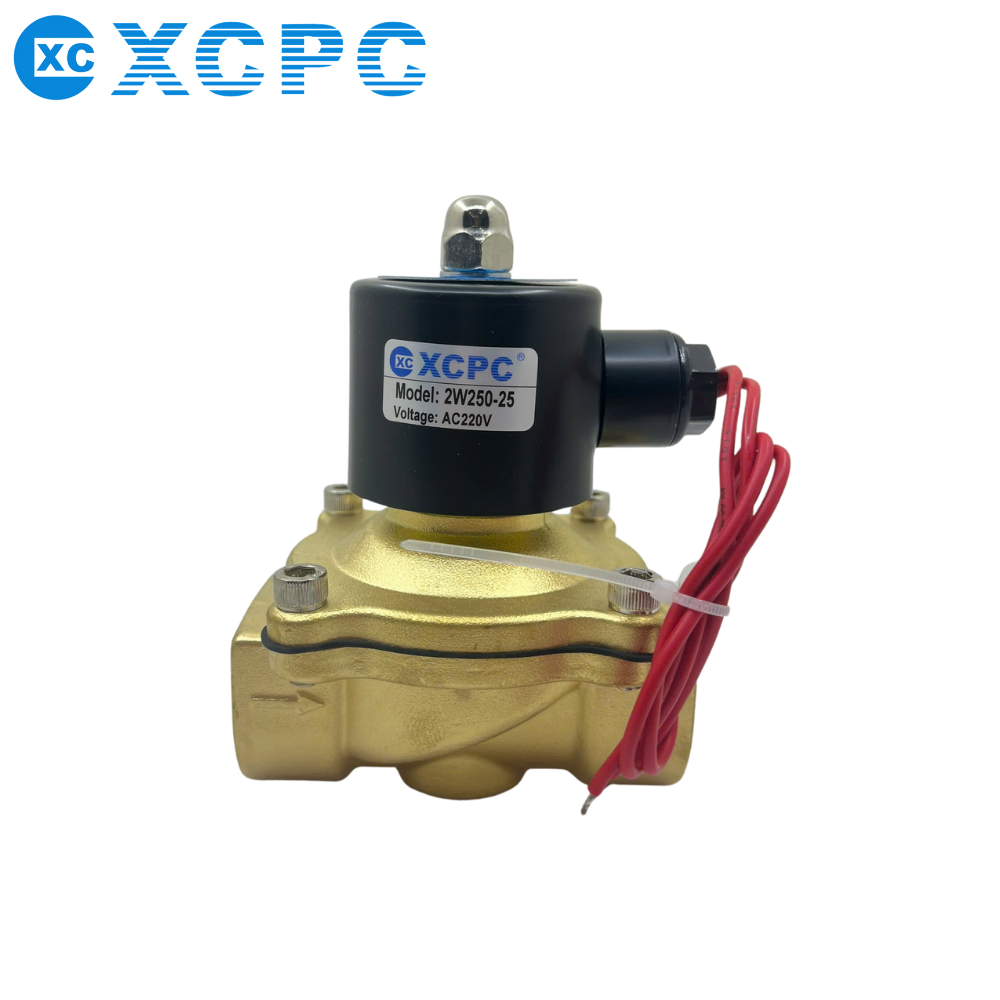  VAN ĐIỆN TỪ XCPC 2W250-25 