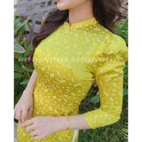  Áo dài Gấm Chuồn Chuồn Cốm cổ đính ngọc thanh lịch 