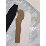  Quần suông nữ dài cao cấp - QS01 