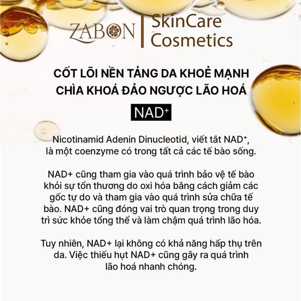 Bộ dưỡng tự sinh tự nhuận chống lão hóa THE WHOO Bichup NAD+ Duo Special Set