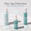 Tinh chất Sensilis Pure Age Perfection [Cicakn Serum] cải thiện nếp nhăn và khuyết điểm 30ml