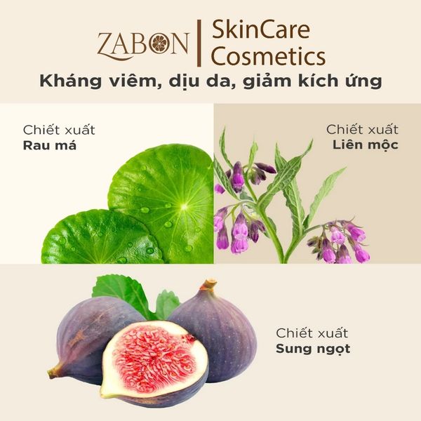 Hoạt Chất Candid AHA & PHA Tẩy Tế Bào Chết & Làm Mịn Da Gel Exfoliant 100ml