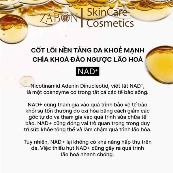 Tinh chất tự sinh chống lão hóa thế hệ thứ 4 THE WHOO Bichup Ultimate Recovery Youth Serum 50ml