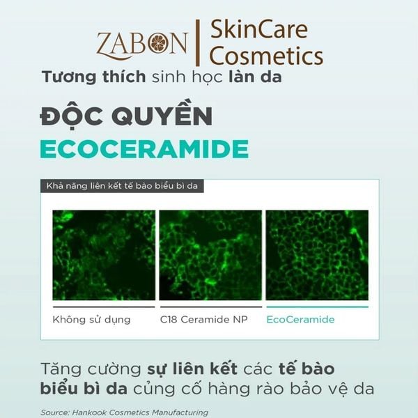 Kem dưỡng ẩm hỗ trợ phục hồi da B5 CICA - Candid B5 CICA Repair & Soothing Cream 10ml