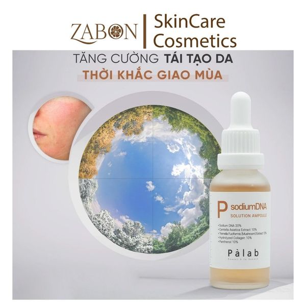 Palab P Sodium DNA Solution Ampoule - Tinh chất phục hồi, tái tạo, chống lão hóa 30ml
