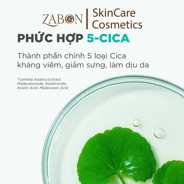 Kem dưỡng ẩm hỗ trợ phục hồi da B5 CICA - Candid B5 CICA Repair & Soothing Cream 10ml
