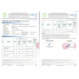  Combo 2 Xịt Thơm Miệng Khử Mùi, Diệt Khuẩn, Nhỏ Gọn Hương Trái Cây Tự Nhiên BFO Befresh 10ml 